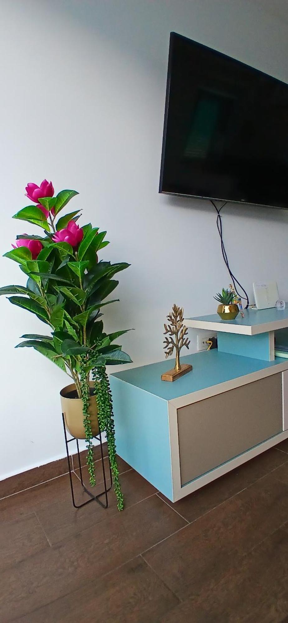 Apartment Funny Котор Екстер'єр фото